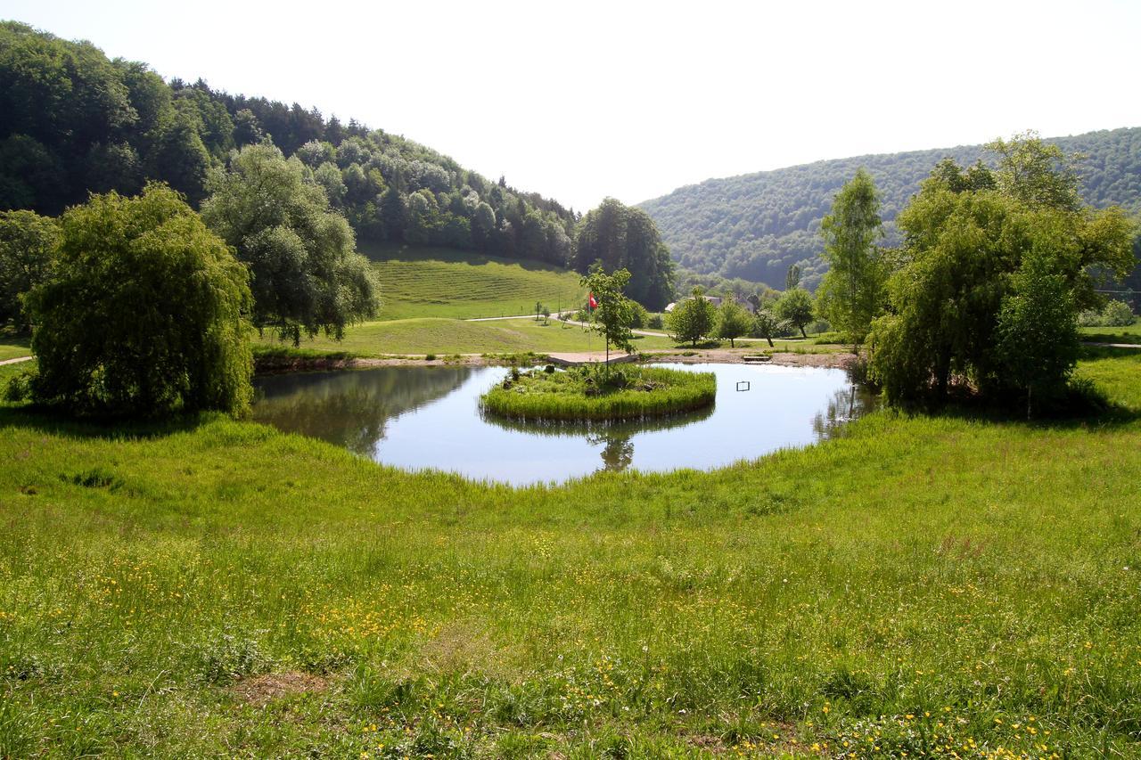 Bad Schauenburg Otel Liestal Dış mekan fotoğraf