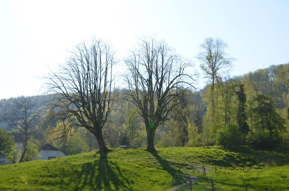 Bad Schauenburg Otel Liestal Dış mekan fotoğraf