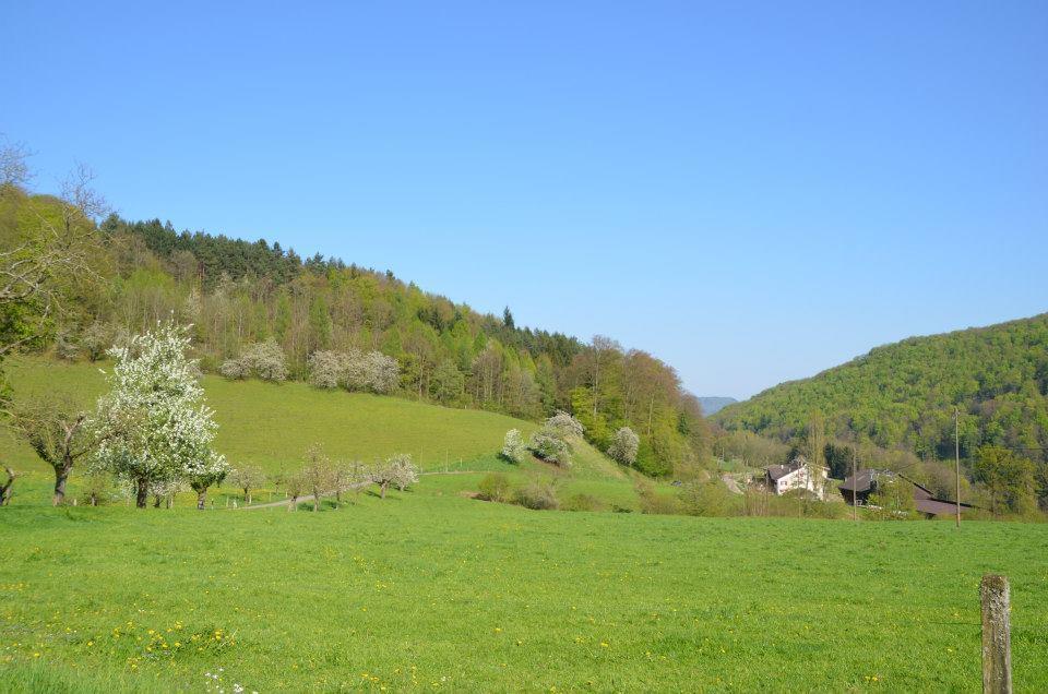 Bad Schauenburg Otel Liestal Dış mekan fotoğraf