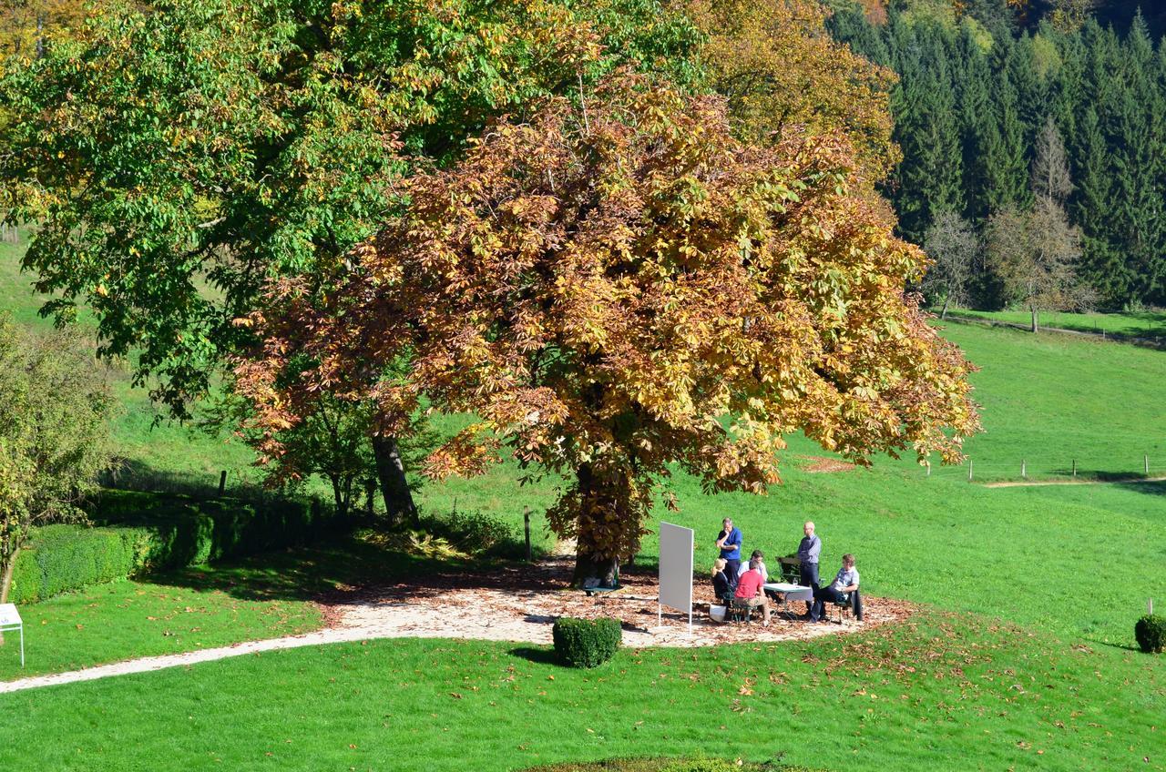 Bad Schauenburg Otel Liestal Dış mekan fotoğraf