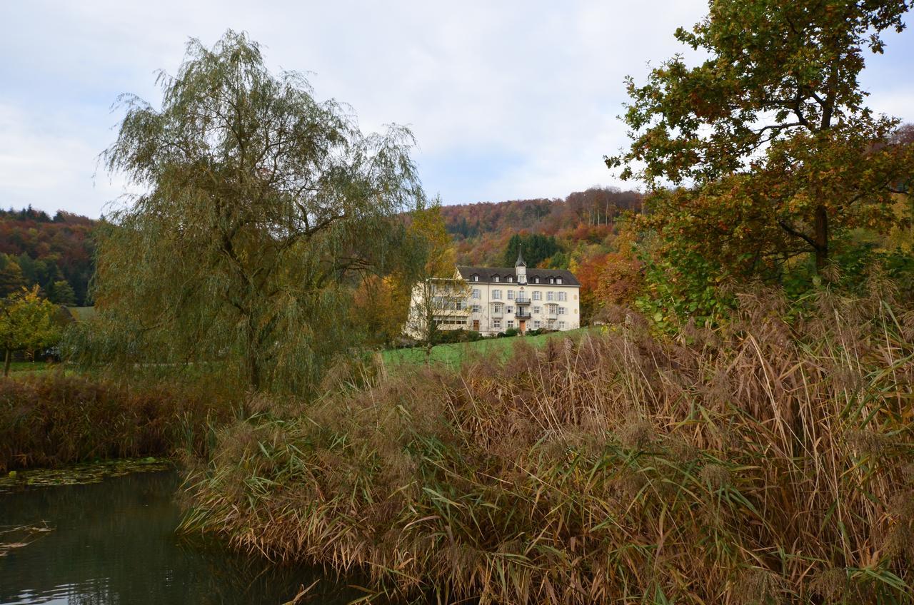 Bad Schauenburg Otel Liestal Dış mekan fotoğraf