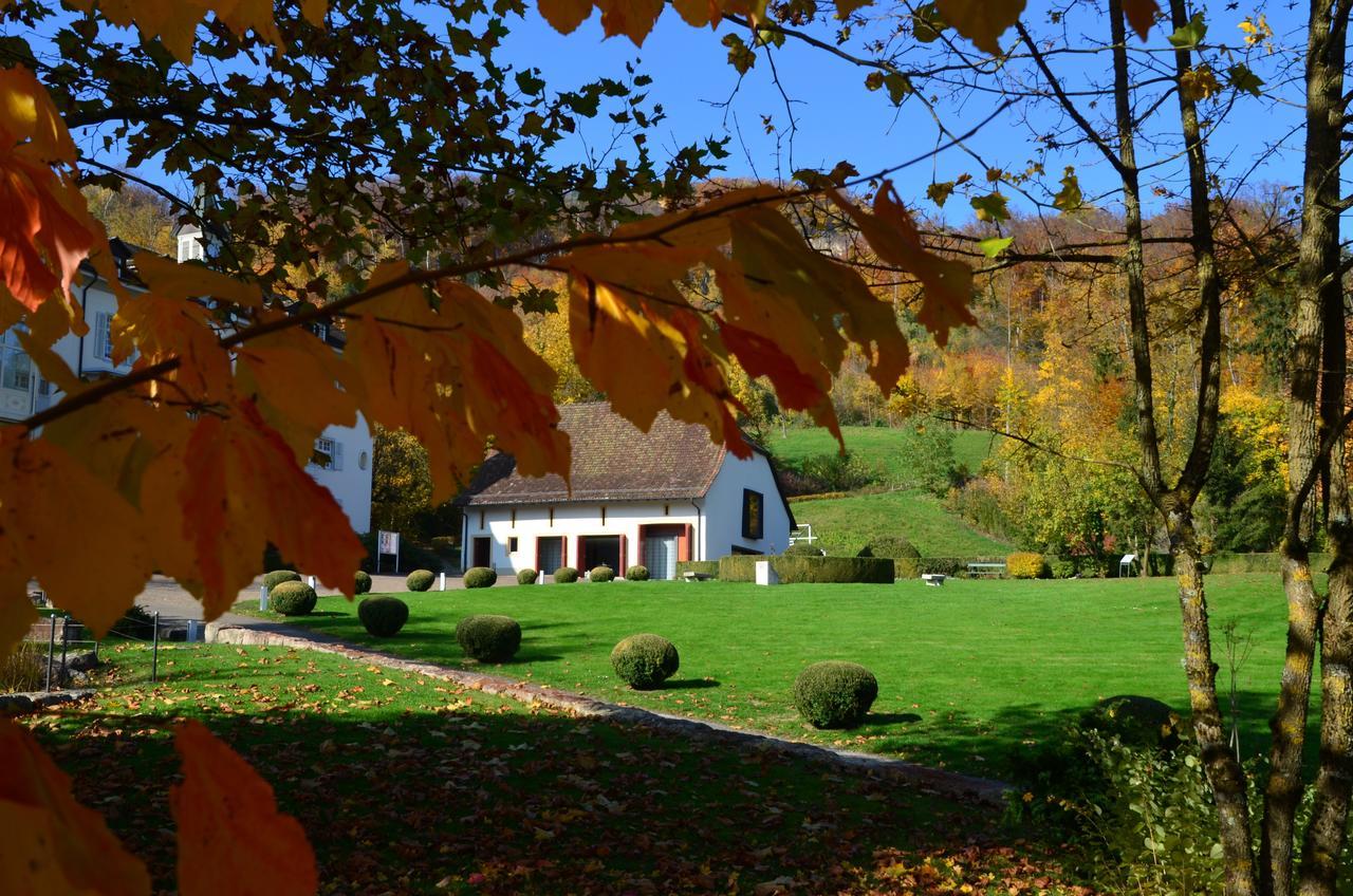 Bad Schauenburg Otel Liestal Dış mekan fotoğraf