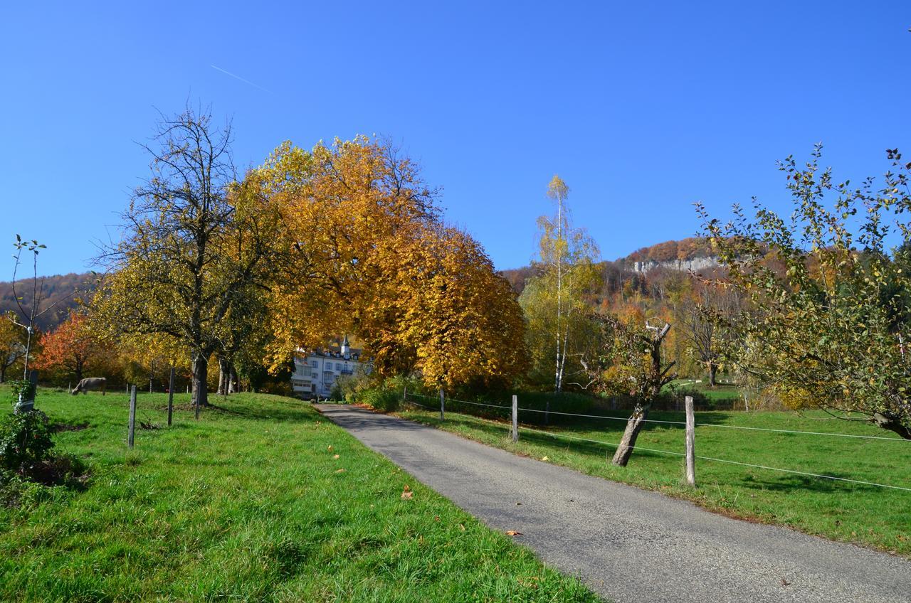 Bad Schauenburg Otel Liestal Dış mekan fotoğraf