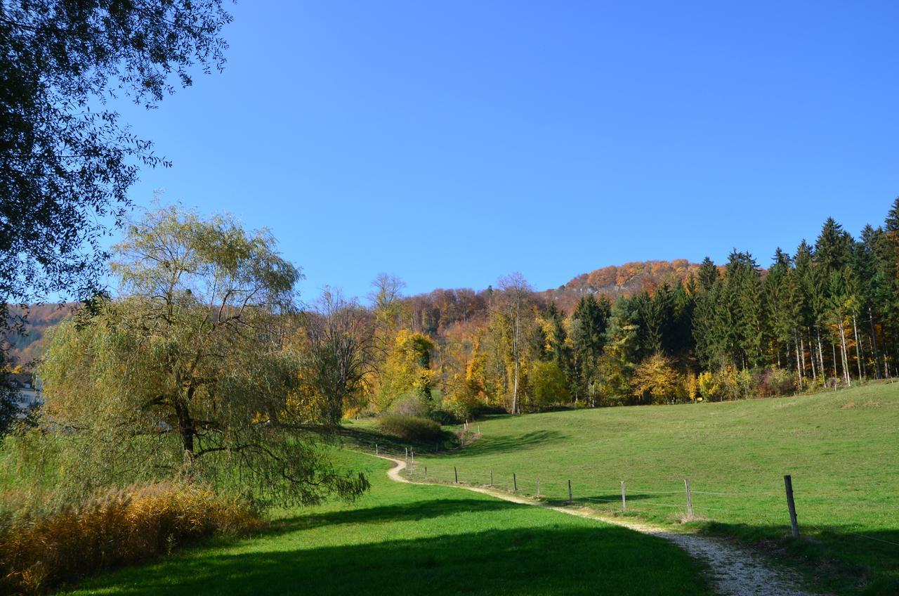 Bad Schauenburg Otel Liestal Dış mekan fotoğraf