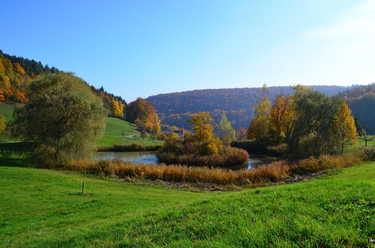 Bad Schauenburg Otel Liestal Dış mekan fotoğraf
