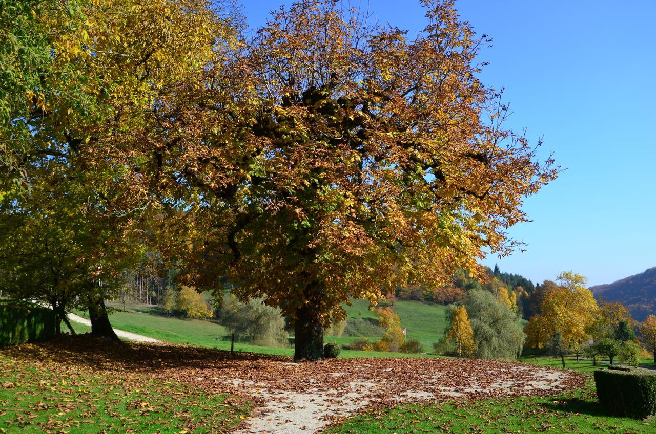 Bad Schauenburg Otel Liestal Dış mekan fotoğraf